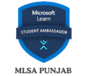 MLSA PUNJAB